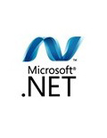 .NETFramework4.8